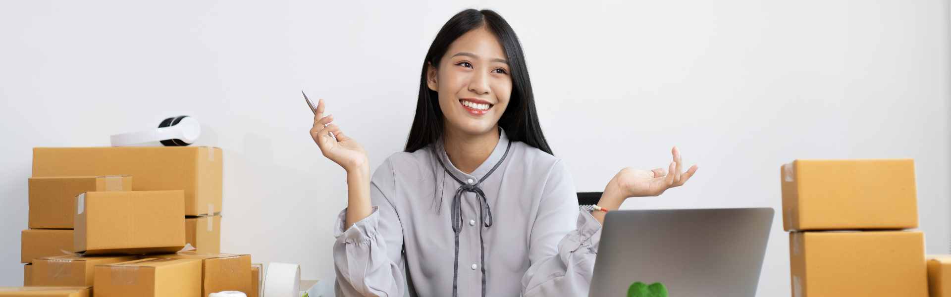 Tienda Virtual NovaHSEQ